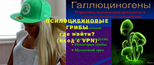 амф Балахна
