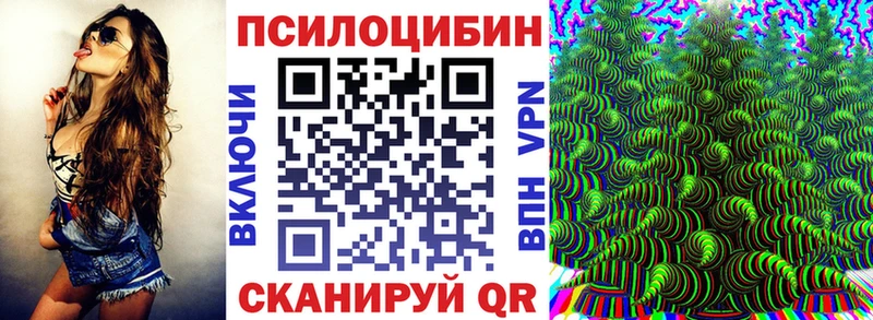 Галлюциногенные грибы Magic Shrooms  Купить где  Луга 